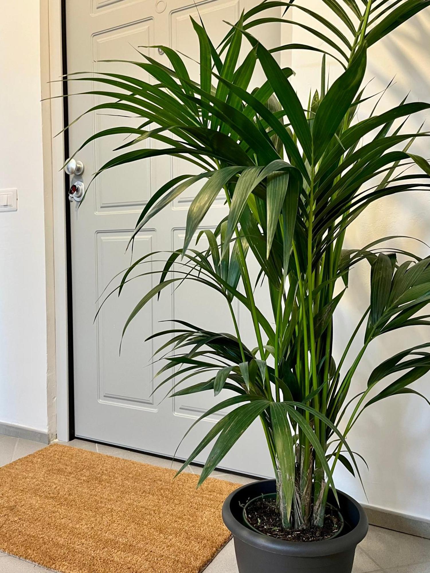 San Martino Holiday Apartments Nizza Monferrato Dış mekan fotoğraf