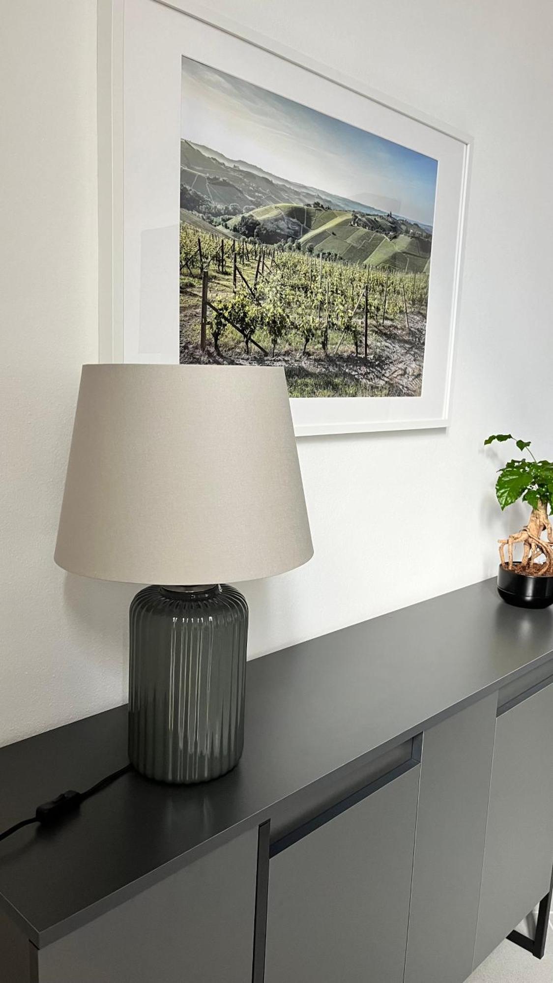 San Martino Holiday Apartments Nizza Monferrato Dış mekan fotoğraf